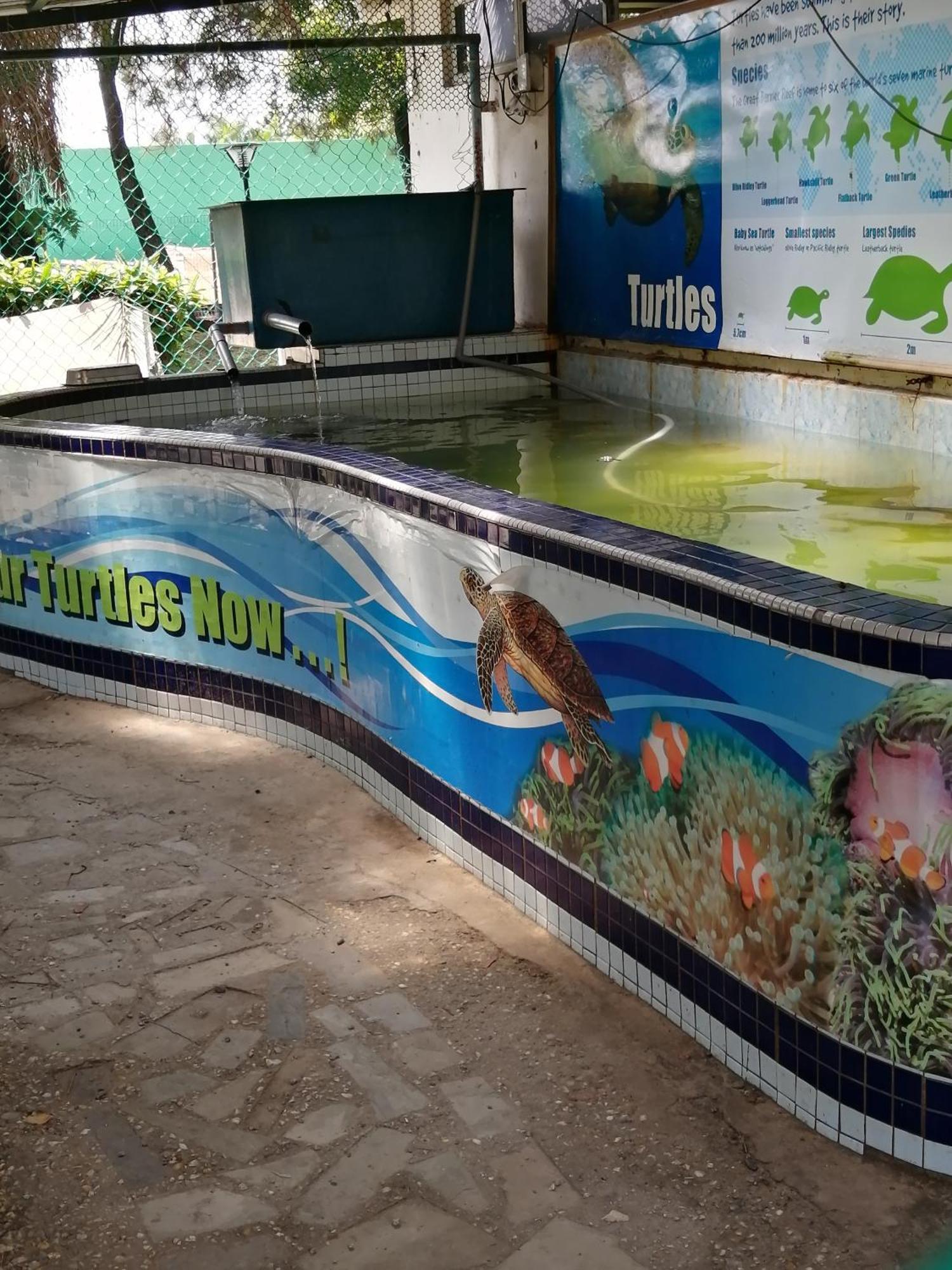 Apartment At Glory Beach Resort Port Dickson Rum bild